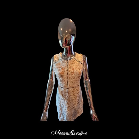 Lulus Elegant Lace Dress - Picture 2 of 5